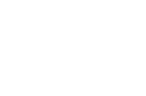 Official Logo for Queen Of The Point